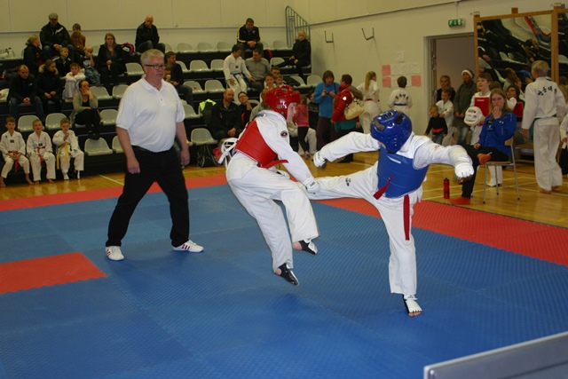 Taekwondo boðsmót haust 2013 (4)