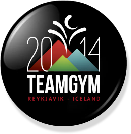 2014teamgym